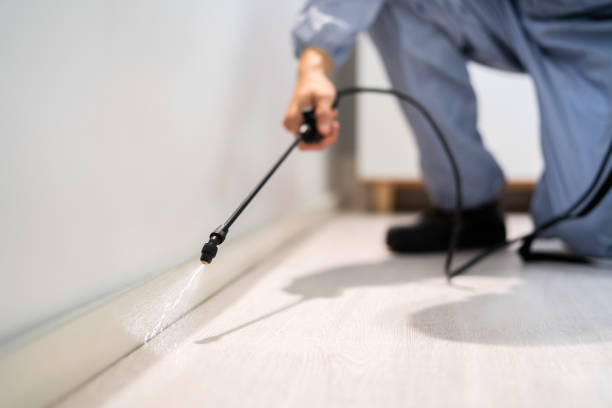 Rodent Entry Point Assessment in West Clarkston-Highland
