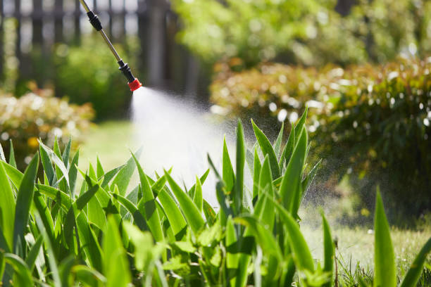 Tamper-Resistant Bait Stations for Rodents in West Clarkston-Highland