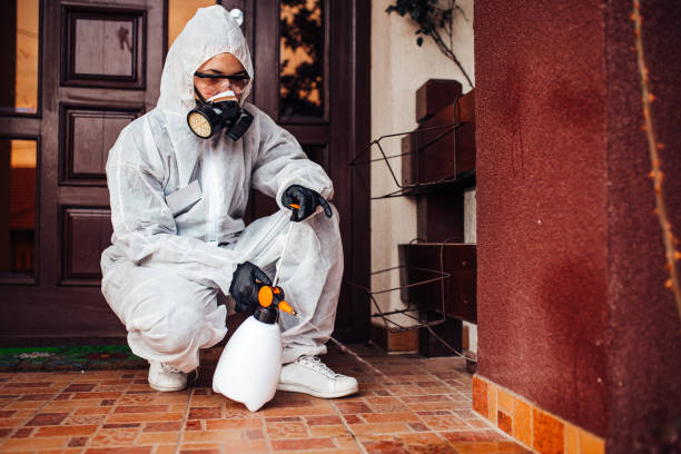 Attic and Crawl Space Rodent Treatment in West Clarkston-Highland