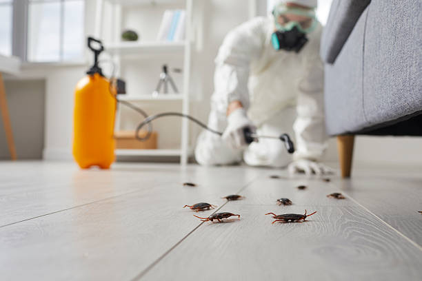 Commercial Rodent Management in West Clarkston-Highland